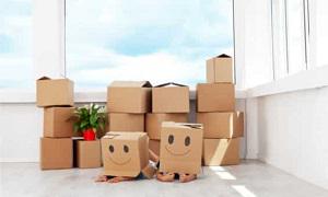 Brilliance Removalists Melbourne logo