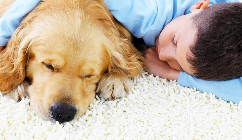 Carpet Cleaning Master