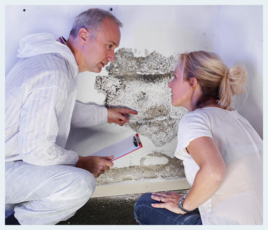 Rapid Building Inspections: Sydney