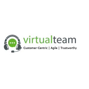 Virtual Team