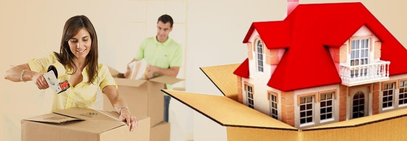 Adam Removalists
