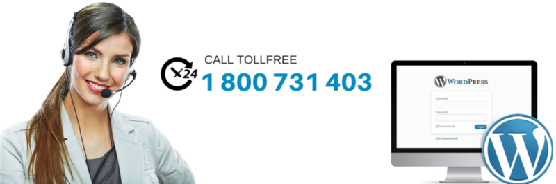 WordPress Support Experts