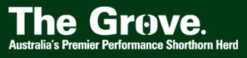The Grove Shorthorns