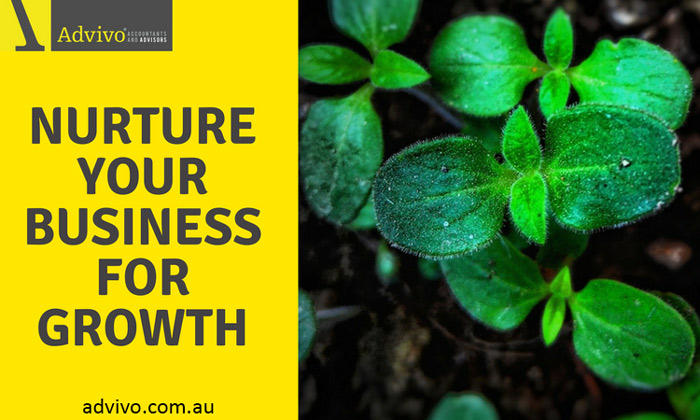 Advivo Accountants and Advisors