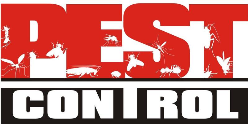 Mr Pest Controller: Melbourne logo