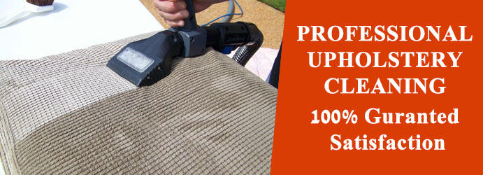 Squeaky Clean Upholstery