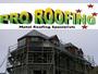 Pro Roofing