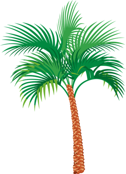 Beachside Web Services