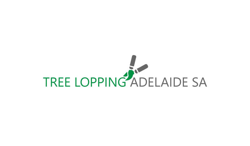Tree Lopping Adelaide