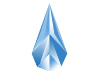 Diamond Finish Pools logo