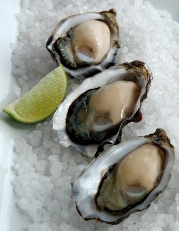 Richmond Oysters