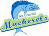 Mt Gravatt Swim Club