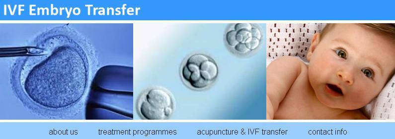 IVF Embryo Transfer