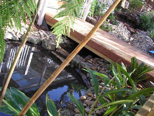 Australian Inspired Gardens