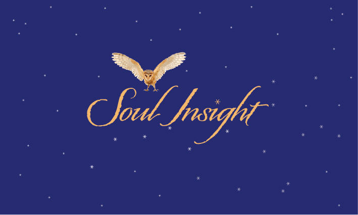 Soul Insight