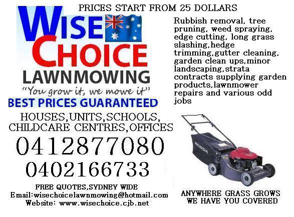 Wise Choice Lawn Mowing