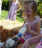Aussie Farm 4 Kids