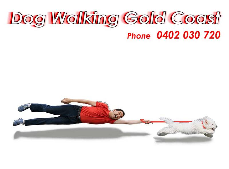 Happy Dog Walking