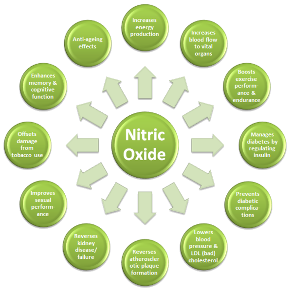 Back to Basics Naturopathy