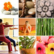 Lotus Health
