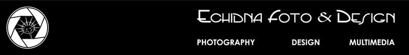 Echidna Foto and Design