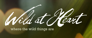 Wild at Heart