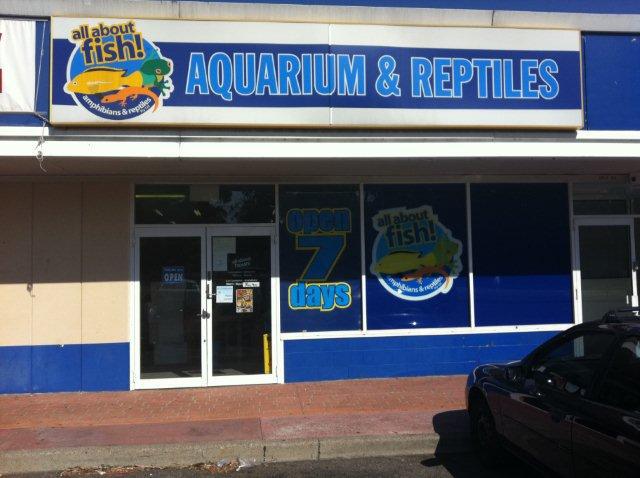 All About Fish Amphibians and Reptiles