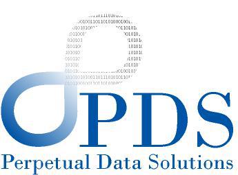 Perpetual Data Solutions