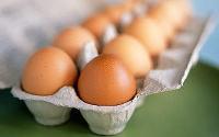 Sydneys Freshest Eggs