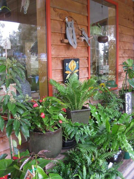 CERES Permaculture and Bushfood Nursery