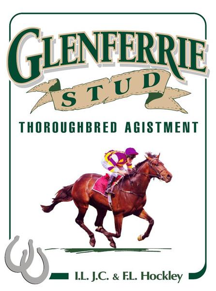 Glenferrie Stud