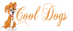 Cool Dogs: Noranda