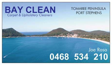 Bay Clean logo