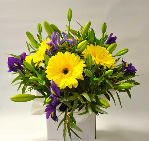 Northbridge Flower Power