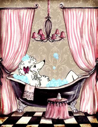 Country Canines Grooming Salon