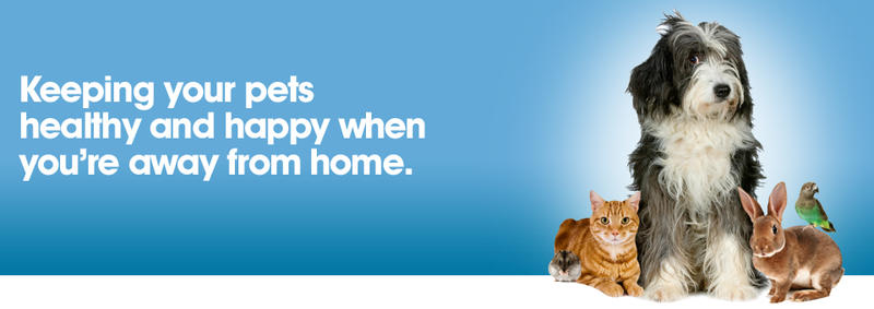 Pet Sit Wollongong