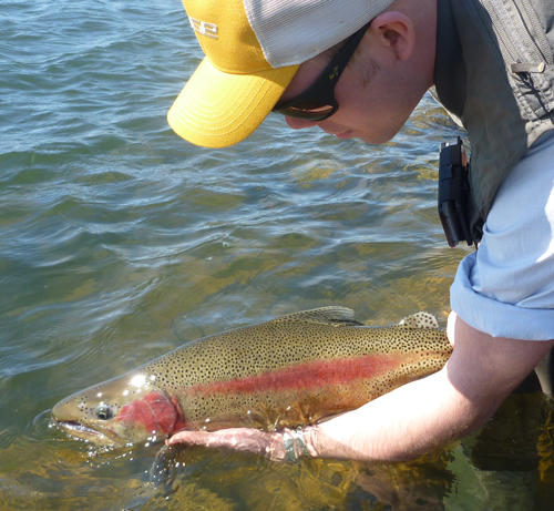 The Flyfisher