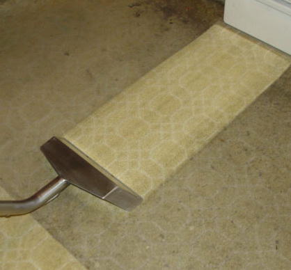 Professional Carpet Cleaning: Petersham