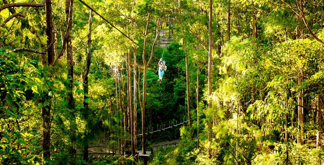 Thunderbird Park and Cedar Creek Lodges