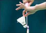 Badminton Berwick