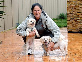 Lonely Pets Club: Melton