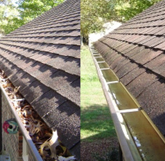 Gutter Cleaning Sydney
