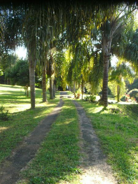 Osho Samaya Ashram