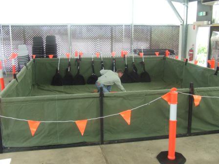Go Wild Reptiles & Training