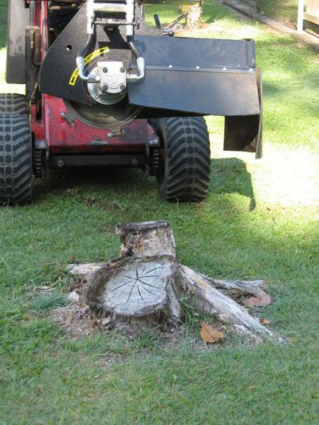 Cheap Stump Grinding