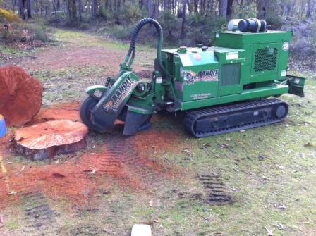 Armac Stump Grinding: Talia Ct