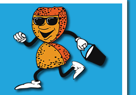 Sponge On The Run