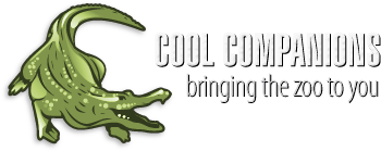 Cool Companions