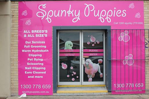 Spunky Puppies