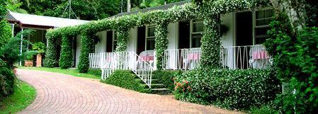 Tall Trees Motel